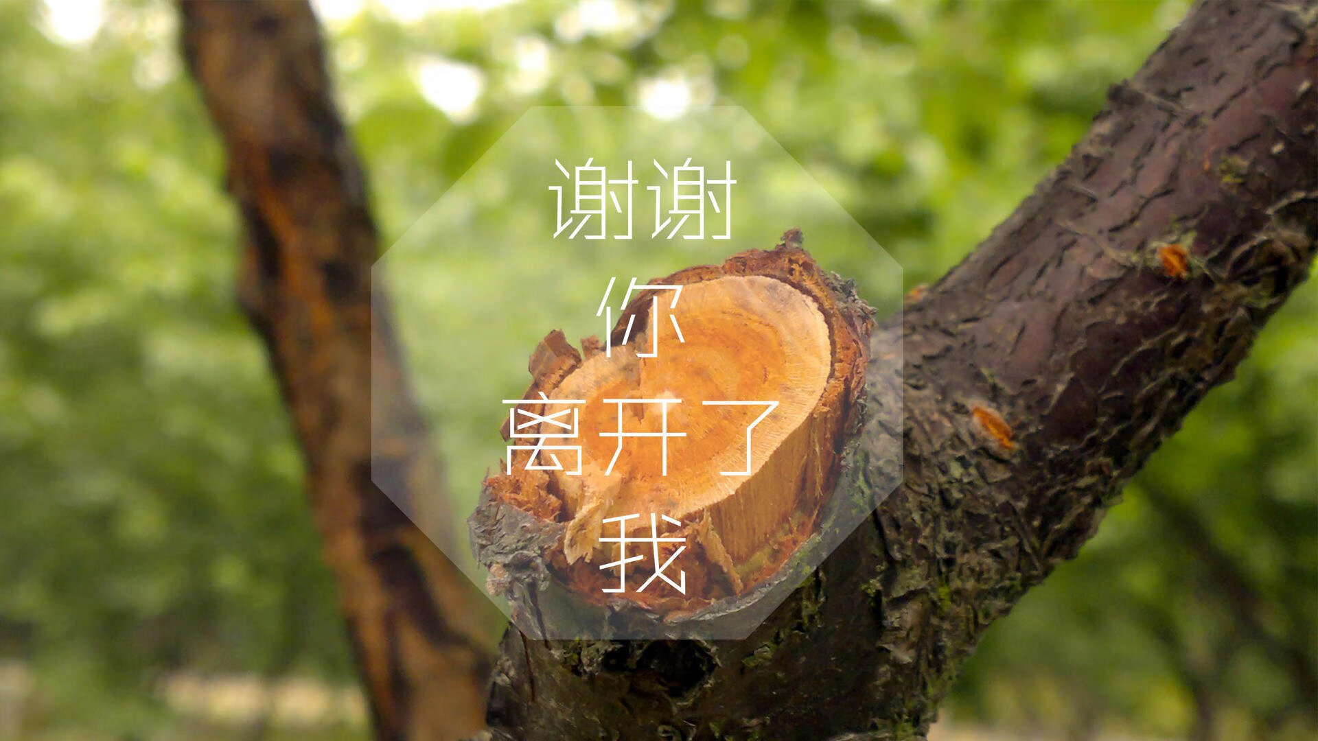 “水上救生：三叉湖游泳馆选手英勇救援，瞬间成焦点”