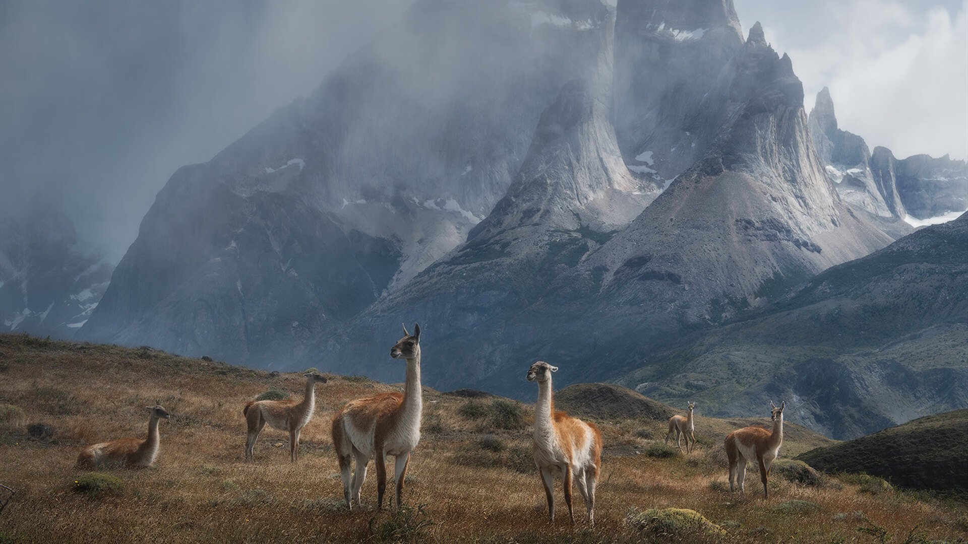 中国男篮提升临场沟通与协防反应速度,中国男篮的消息