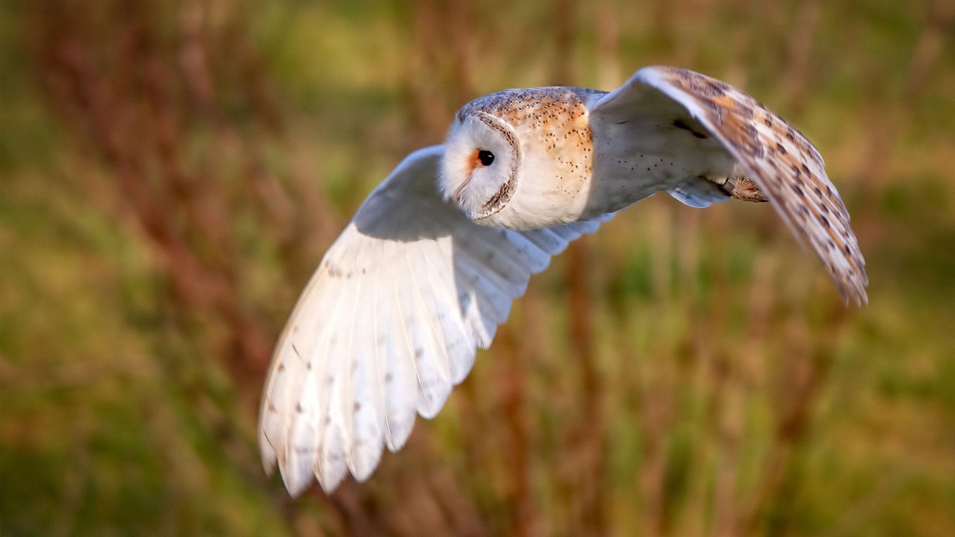 大学生排球赛火热进行晋级形势复杂,大学生排球赛策划方案