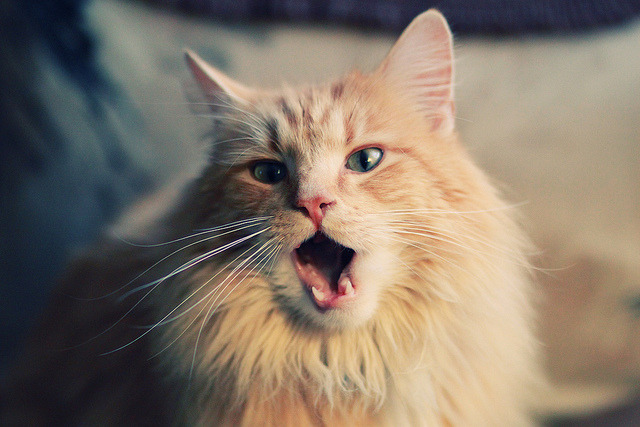 广东队利用错位制造机会频繁得分,广东队位置