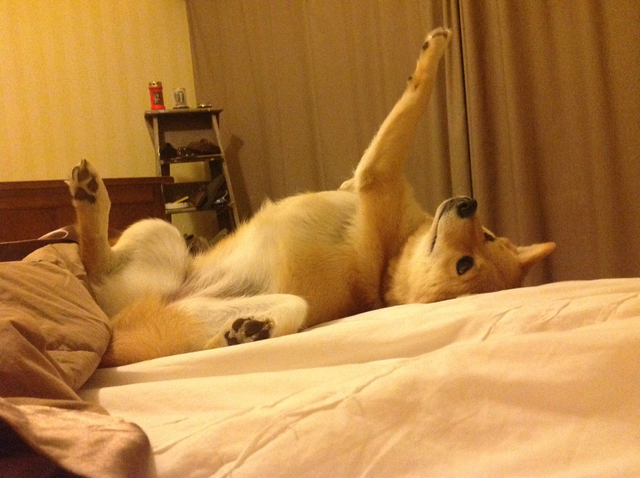 开云体育网站-德国队在2024年混合团体世界杯中的精彩战术运用，德国队2022世界杯预选赛