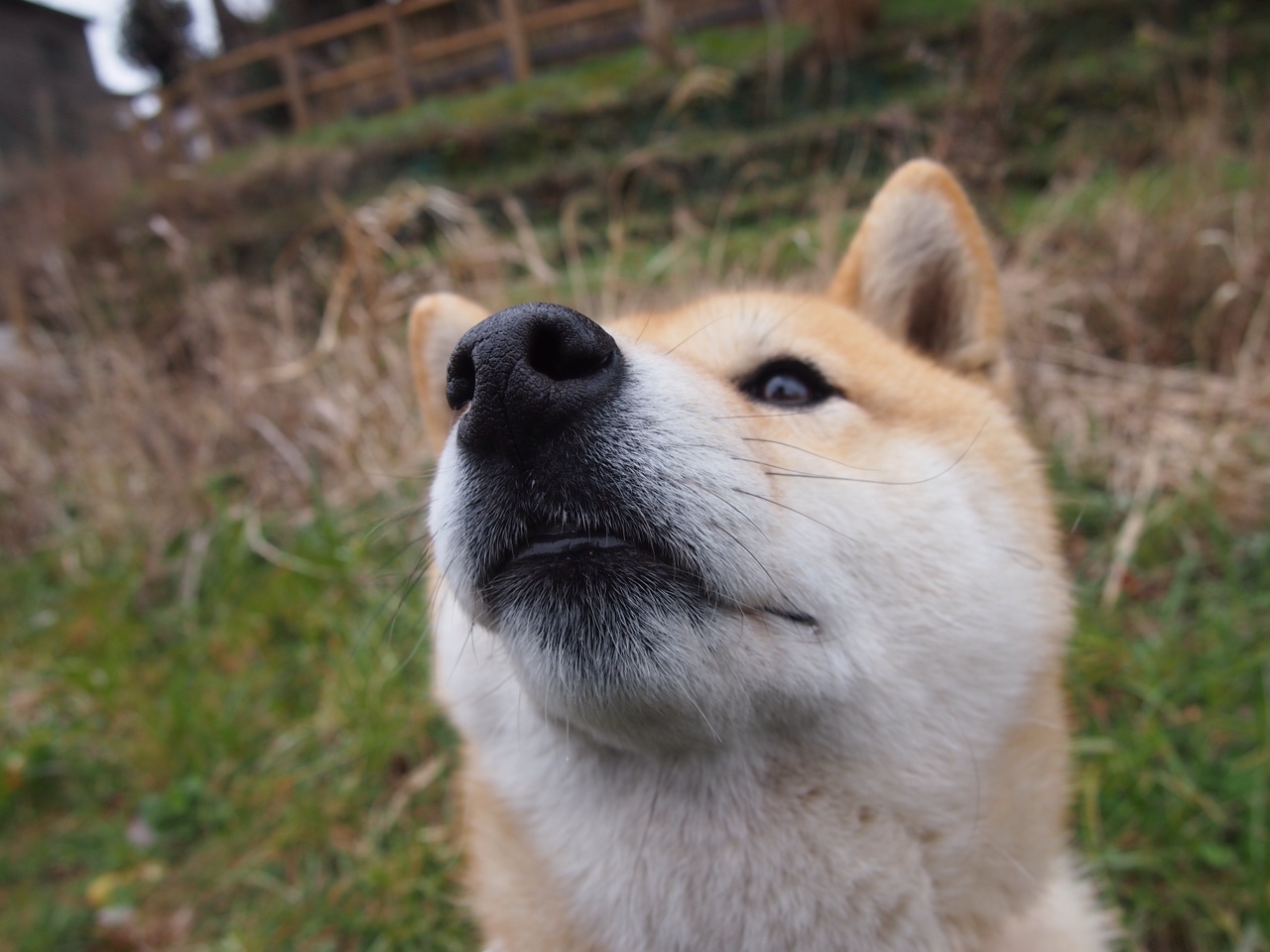 球员心理疏导过于依赖赛后总结,球员心理疏导过于依赖赛后总结的原因