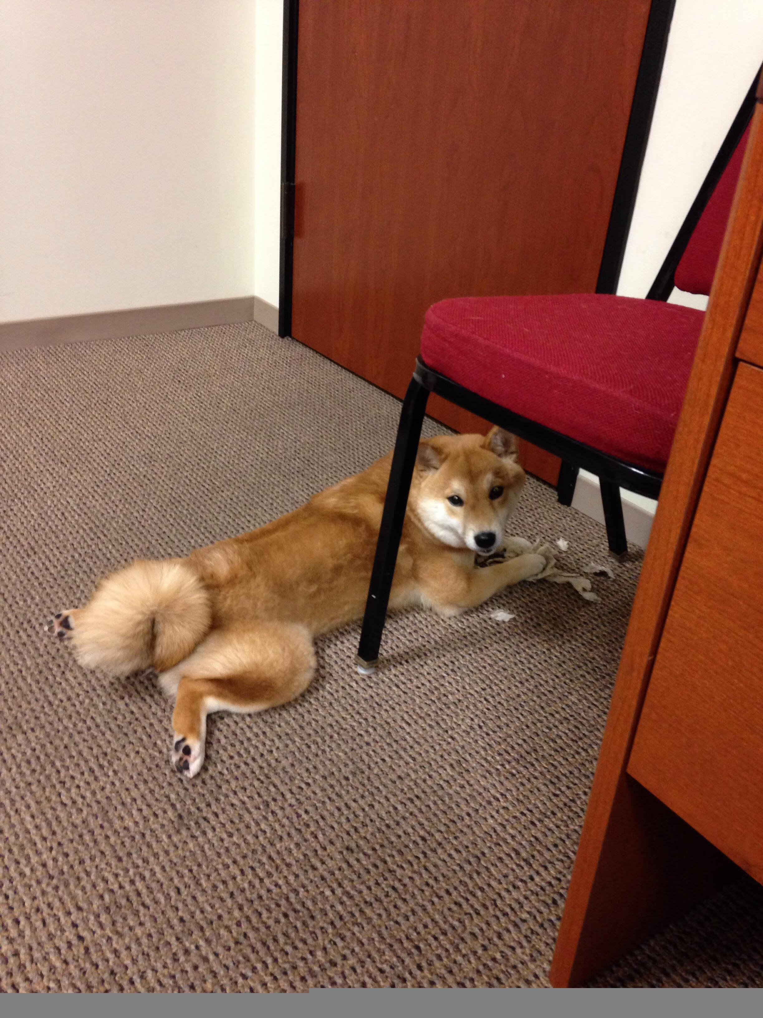 赫罗纳后防稳定有效控制节奏波动,赫罗纳足球俱乐部