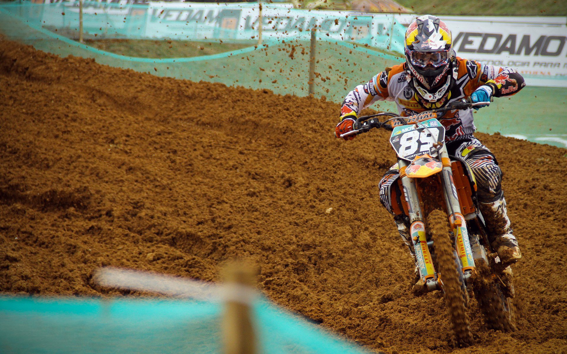 “美洲狮队凭借团队合作晋级橄榄球冠军锦标赛四强”