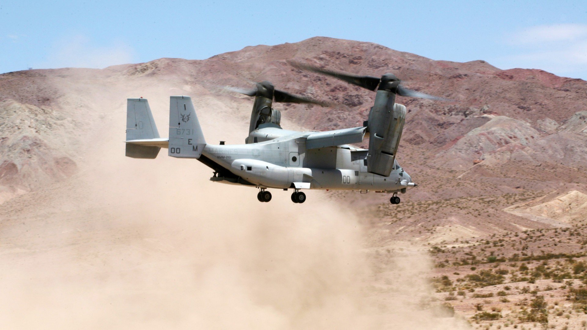 开云体育-凯蒂·莱德基赛后感谢团队支持，凯特 莱德基