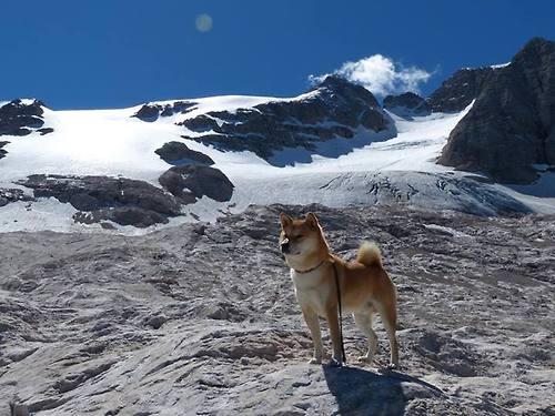 弗兰:全黑队进攻的“杀手锏”,突破后总能精准找准空档