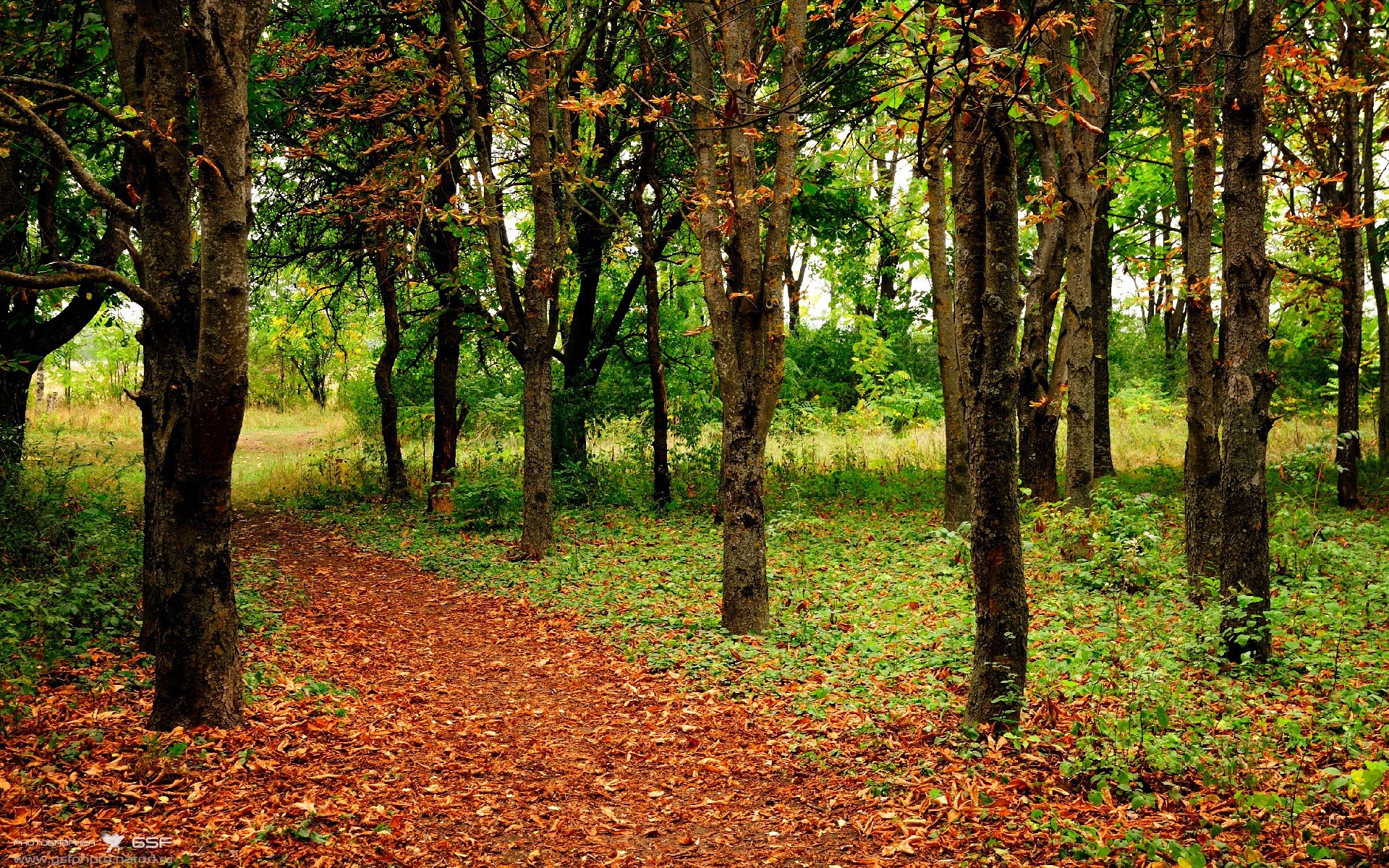 开云体育在线下载-李娜说家庭给予自己强大情感支持，李娜情感经历