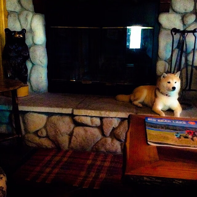 欧洲杯战术革新:变化多端引领新风尚!,欧洲杯各个球队技战术打法