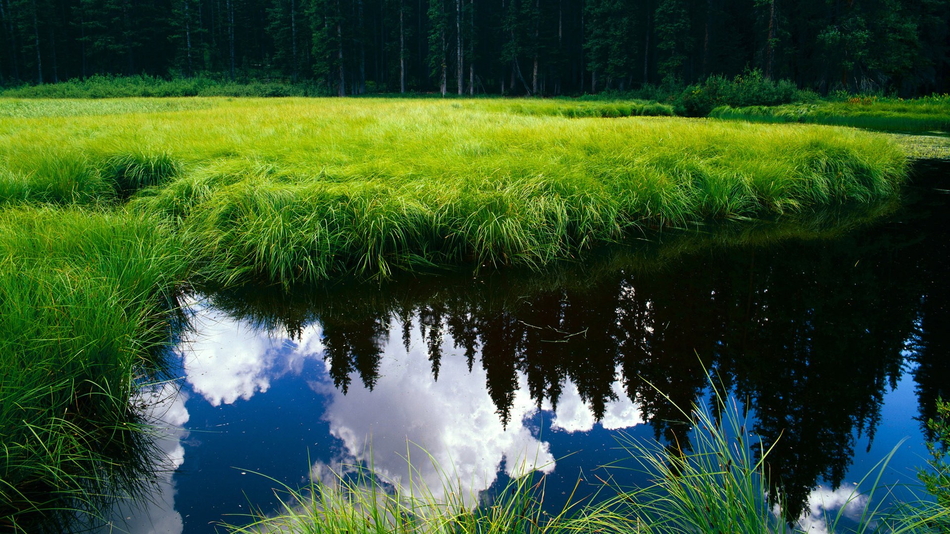 混合泳接力吉尔吉斯斯坦团队协作显著,吉尔吉斯斯坦游泳运动员