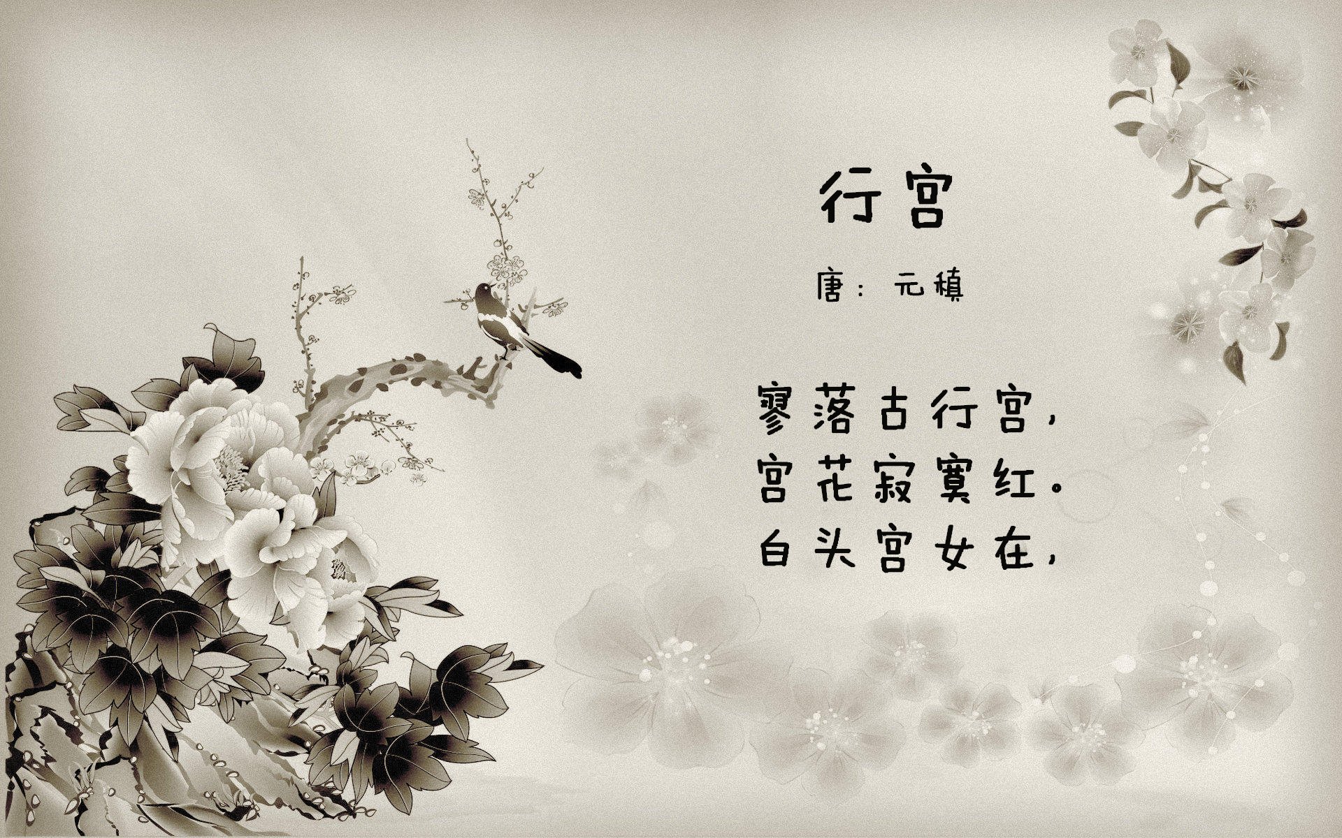 男女橄榄球商业差距正逐步缩小,橄榄球比赛规则讲解