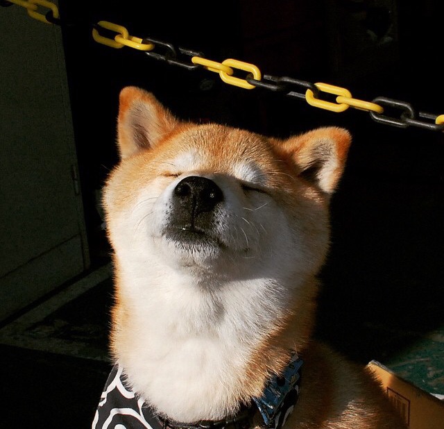 篮球文化宣传活动丰富多样提升群众参与度和认同感,篮球宣传活动方案