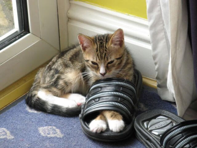 篮球文化宣传活动丰富多样提升群众参与度和认同感,篮球宣传活动方案